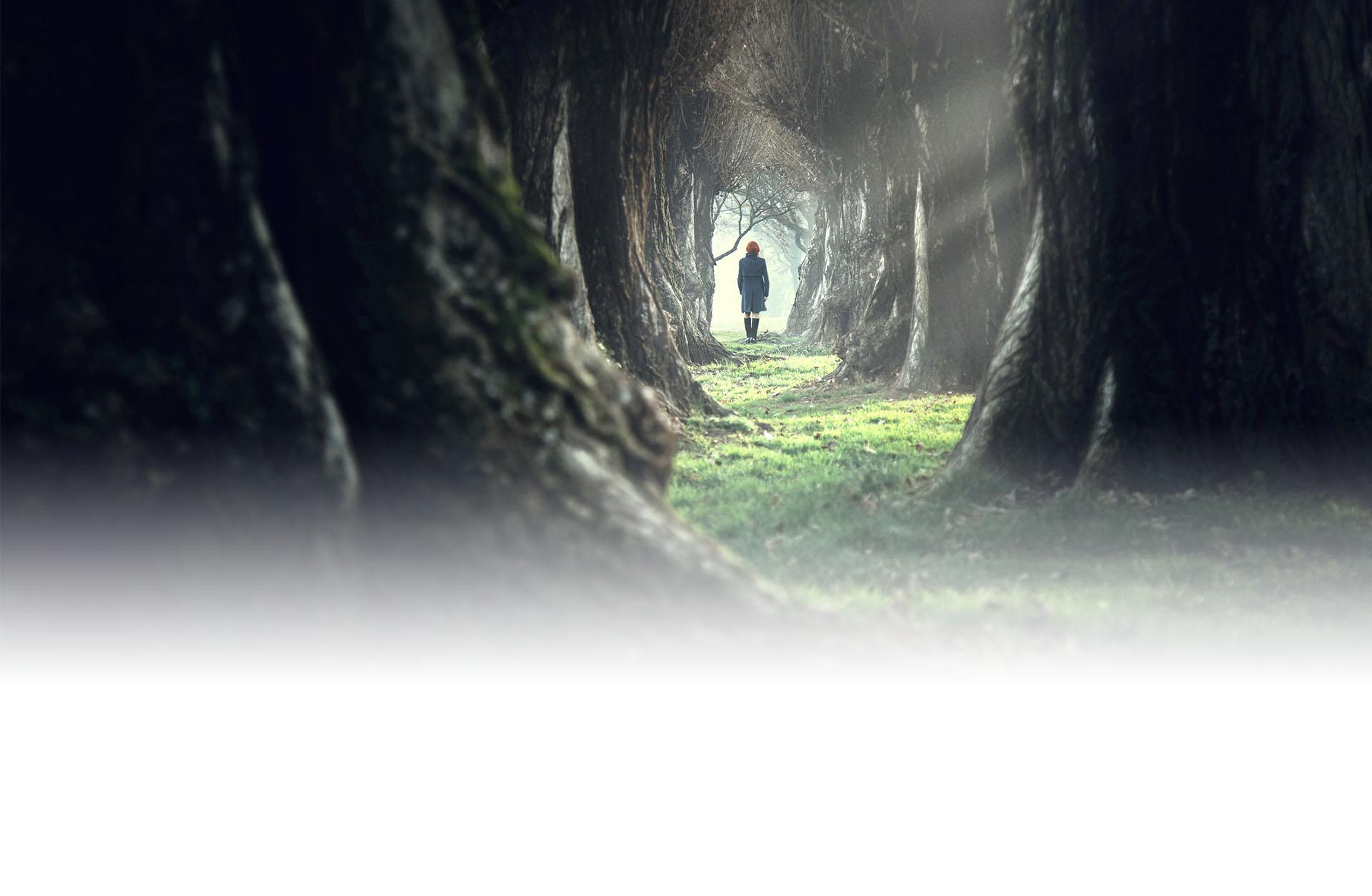 Slajd 1 - mroczny las